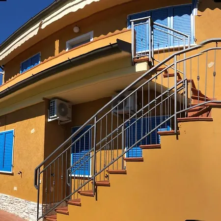 Sunflower Carrara