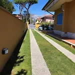 Sunflower Nyaraló